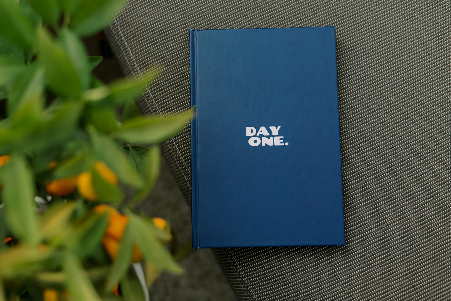 DAYONE. navy