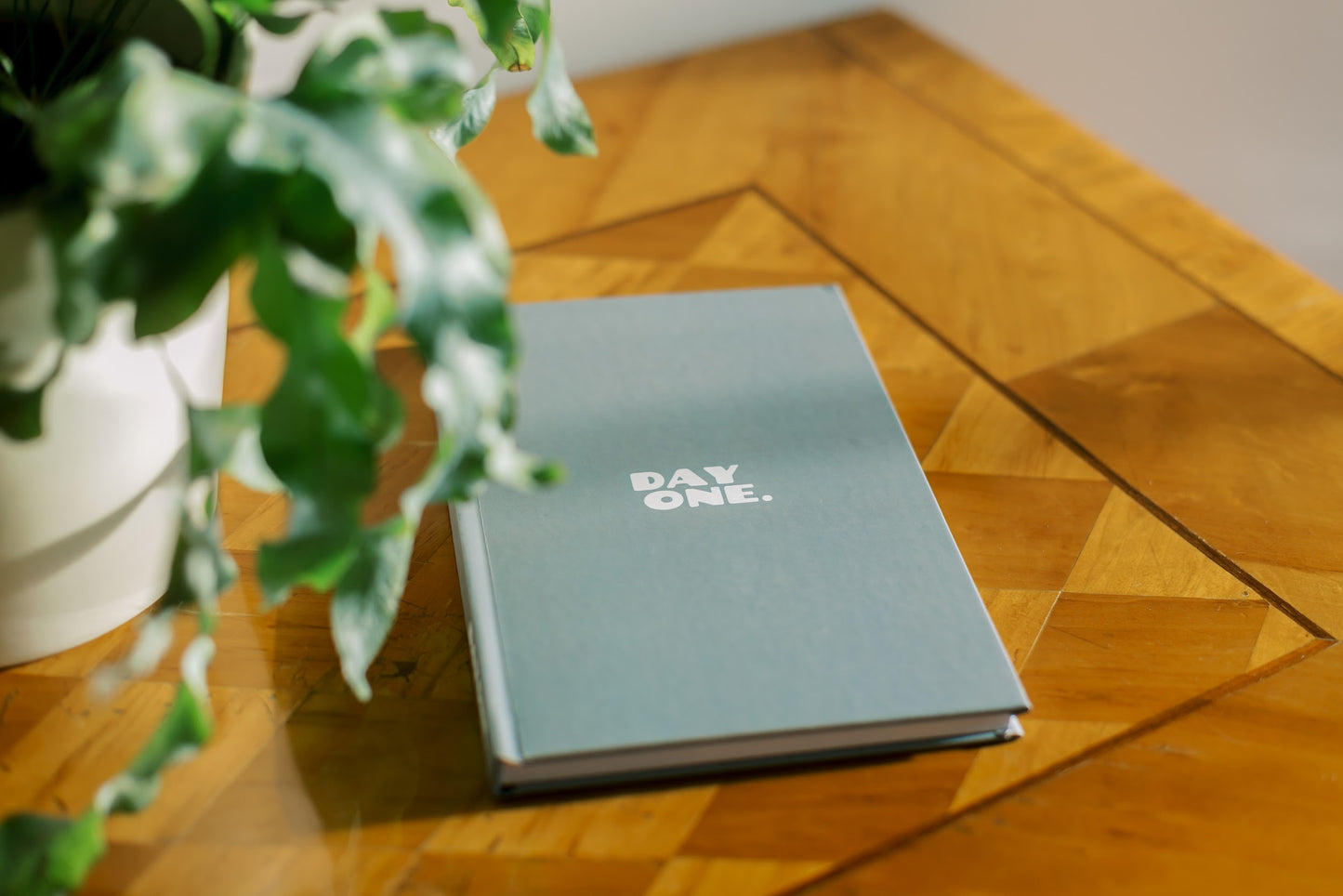 DAYONE. gray / german